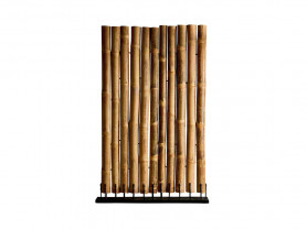 Bamboo paraban